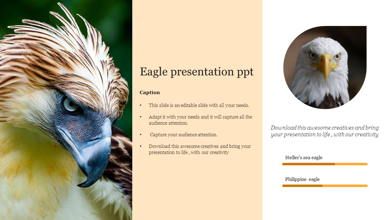Eagle presentation ppt